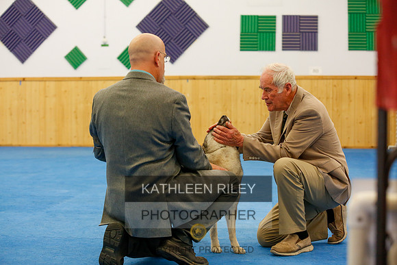 2022-KathleenRileyPhotography-1745