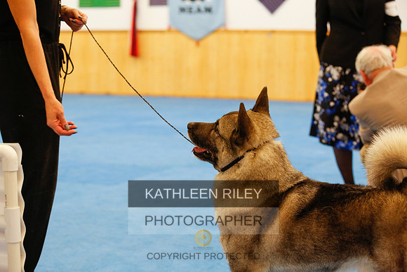 2022-KathleenRileyPhotography-1771