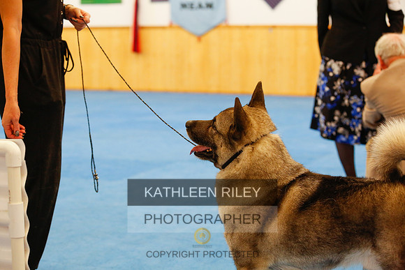 2022-KathleenRileyPhotography-1772