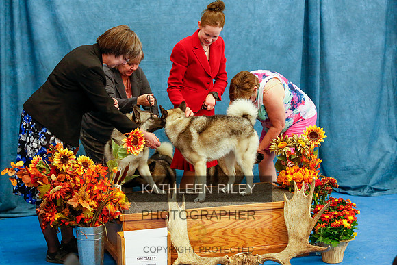 2022-KathleenRileyPhotography-1823