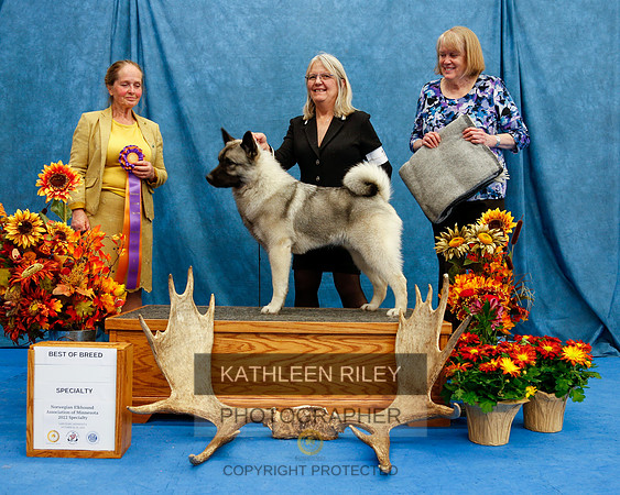 2022-KathleenRileyPhotography-1564