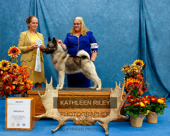 2022-KathleenRileyPhotography-1568