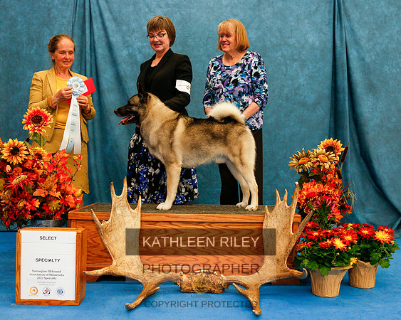 2022-KathleenRileyPhotography-1571