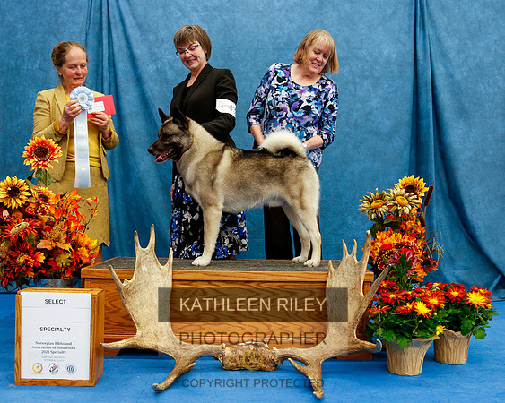 2022-KathleenRileyPhotography-1572