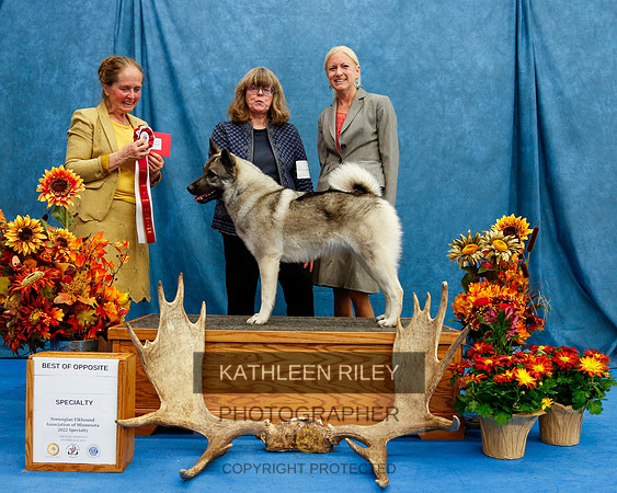 2022-KathleenRileyPhotography-1575