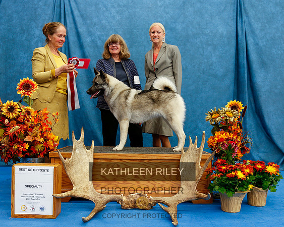 2022-KathleenRileyPhotography-1576