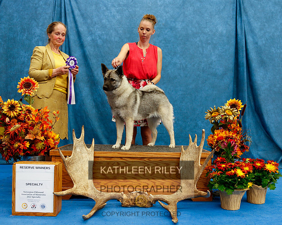 2022-KathleenRileyPhotography-1580