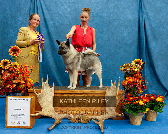 2022-KathleenRileyPhotography-1583