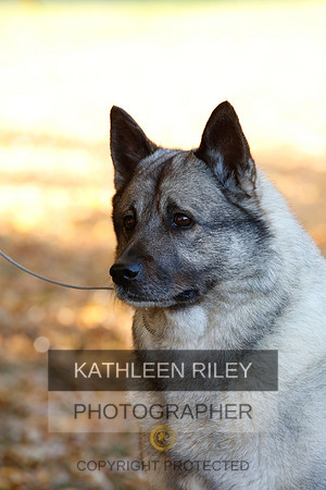 2022-KathleenRileyPhotography-2011