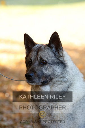 2022-KathleenRileyPhotography--2