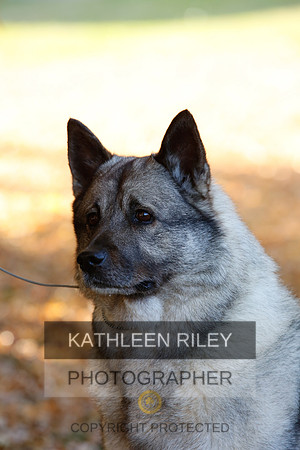 2022-KathleenRileyPhotography-2013