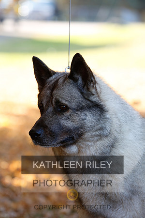 2022-KathleenRileyPhotography--4
