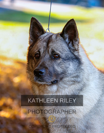 2022-KathleenRileyPhotography-2022