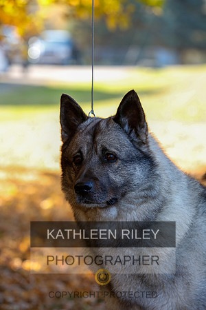 2022-KathleenRileyPhotography--5