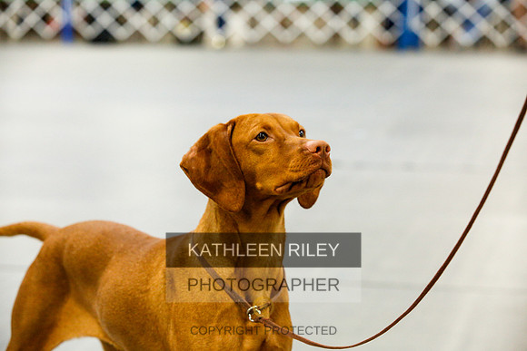 2022-KathleenRileyPhotography-9832