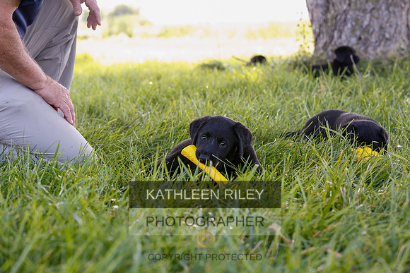 2022-KathleenRileyPhotography-7884