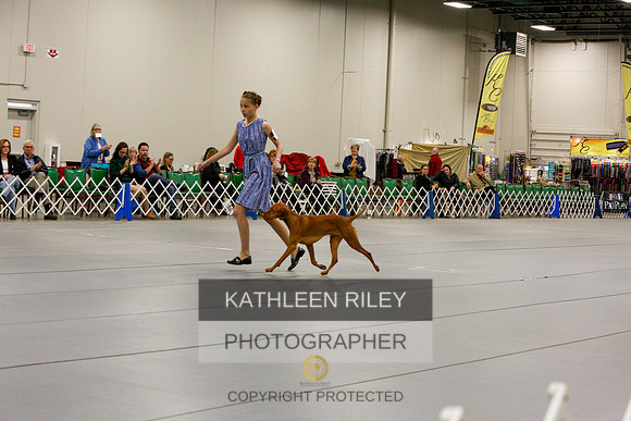 2022-KathleenRileyPhotography-5583