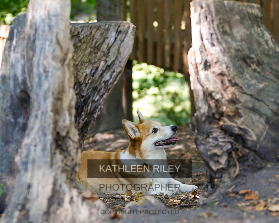2022-KathleenRileyPhotography-8756