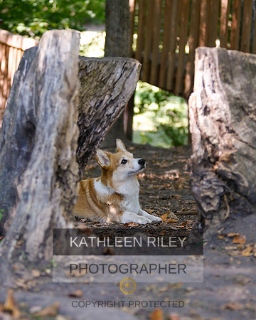 2022-KathleenRileyPhotography-8764