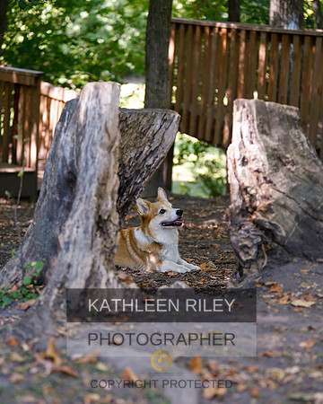 2022-KathleenRileyPhotography-8766