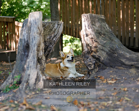 2022-KathleenRileyPhotography-8762