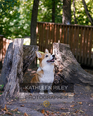 2022-KathleenRileyPhotography-8771