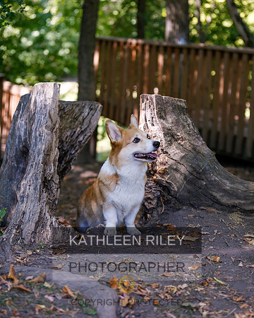 2022-KathleenRileyPhotography-8776