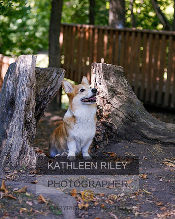 2022-KathleenRileyPhotography-8777