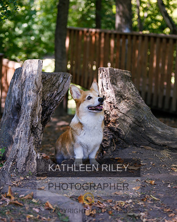 2022-KathleenRileyPhotography-8778