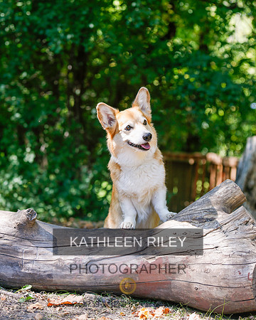 2022-KathleenRileyPhotography-8793