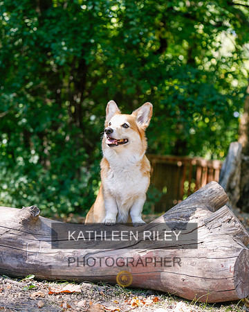 2022-KathleenRileyPhotography-8797
