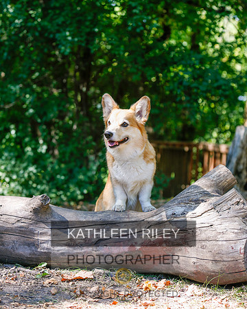 2022-KathleenRileyPhotography-8802