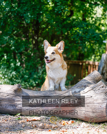 2022-KathleenRileyPhotography-8803