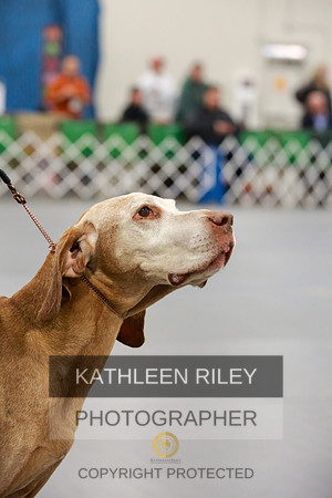 2022-KathleenRileyPhotography-8030