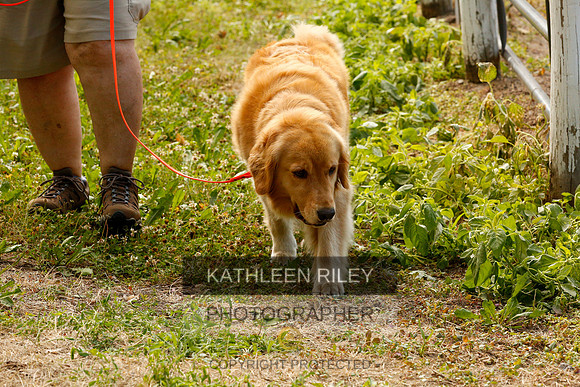 2022-KathleenRileyPhotography-0089