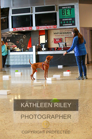 2022-KathleenRileyPhotography-7657