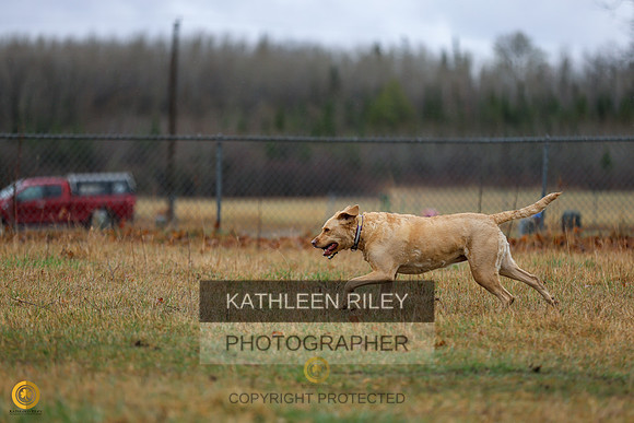 SJLT1501