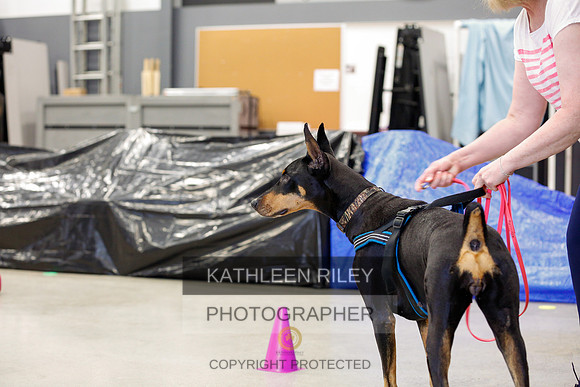 2022-KathleenRileyPhotography-7134