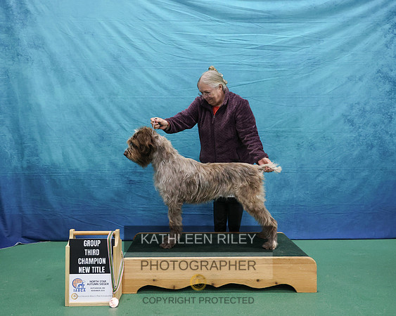 KARD3560