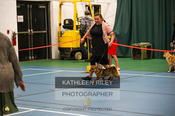 SJLT5400