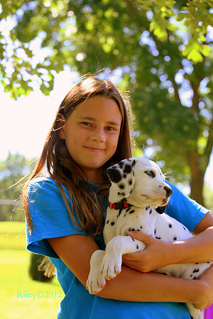 This girl loves dogs!