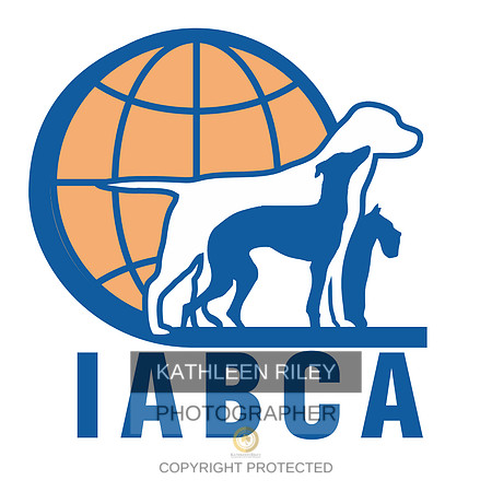 IABCA Logo
