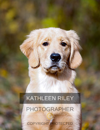 2022-KathleenRileyPhotography-1153
