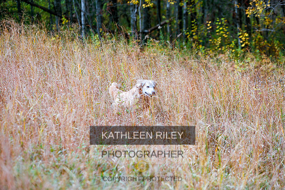 2022-KathleenRileyPhotography-1344