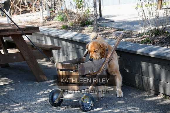 2022-KathleenRileyPhotography-3657
