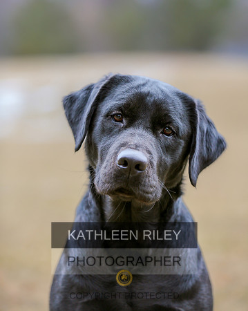 2022-KathleenRileyPhotography--2