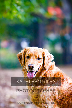 2022-KathleenRileyPhotography-0010