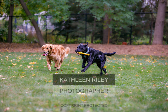 2022-KathleenRileyPhotography-9950
