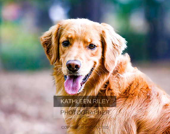 2022-KathleenRileyPhotography-0010-14x11
