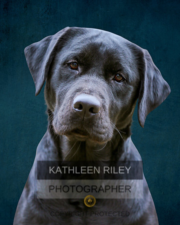 2022-GInny-Carlson-Blue-Grunge-Background